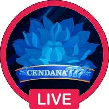 cendana777 Terbaru 2026: Download APK dan Review APK Resmi — ikon aplikasi